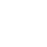 P4s Logomark White